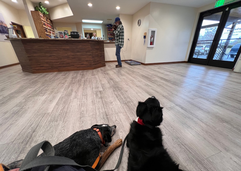 Carousel Slide 2: Come visit us at Parker Way Veterinary Clinic