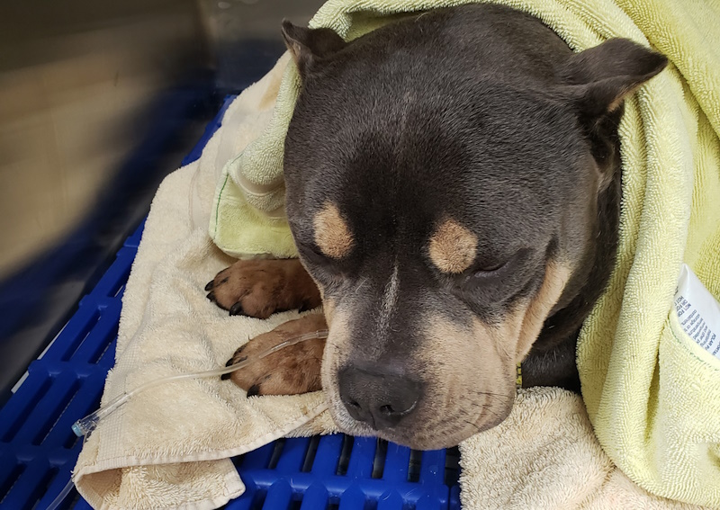 Carousel Slide 5: Learn about our surgical procedures